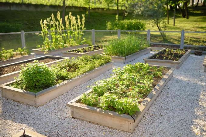 How to design a garden layout kdagardenation